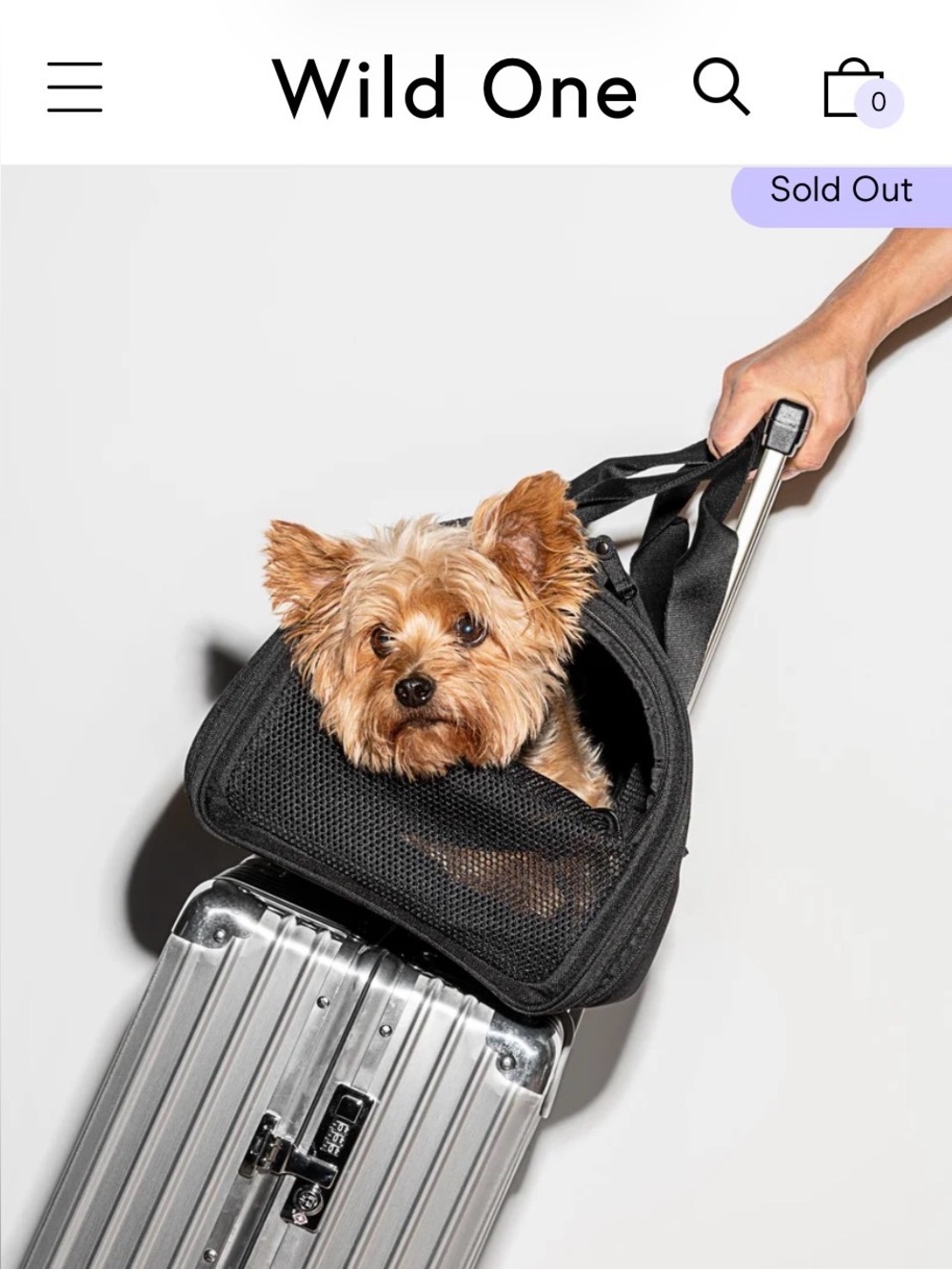 Wild One Travel Carrier Black Small Dog & Cat Carrier Up to 16 lbs